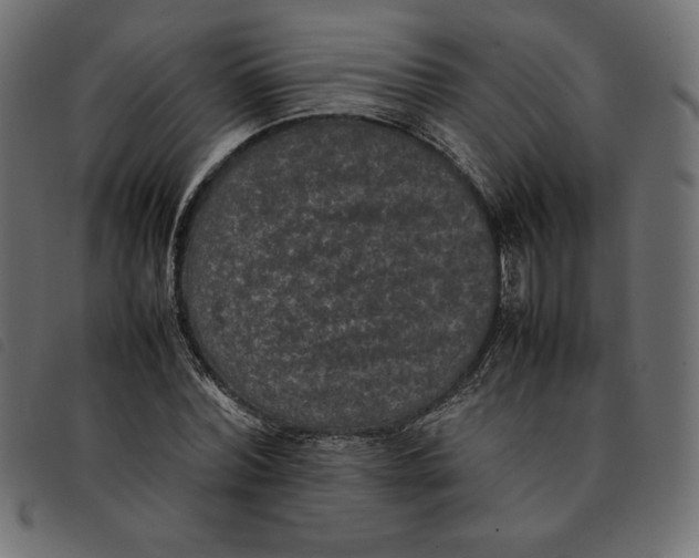 X0000092250780200710121258