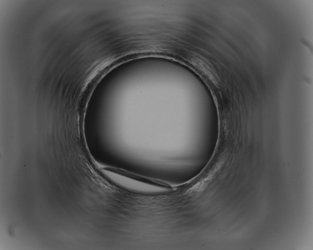 X0000092250781200710121258