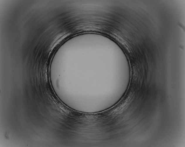 X0000092250782200710121258