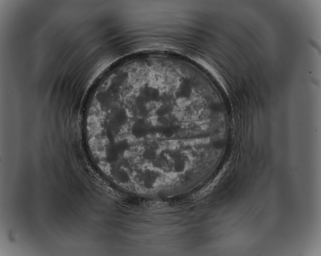 X0000092250783200710121258