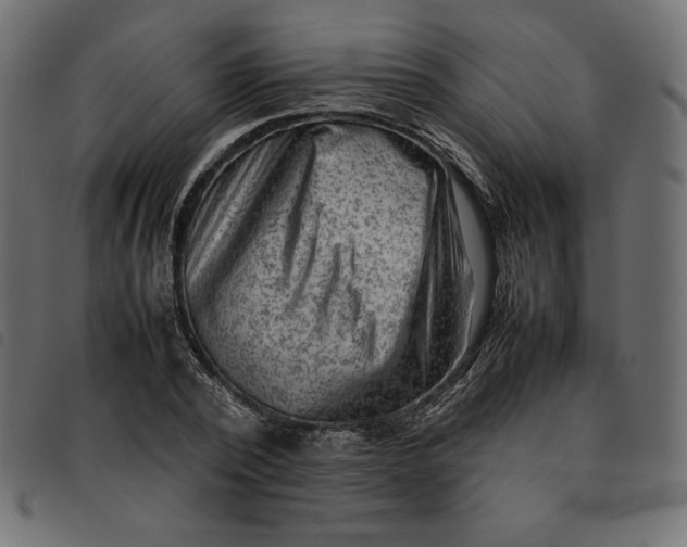 X0000092250784200710121258