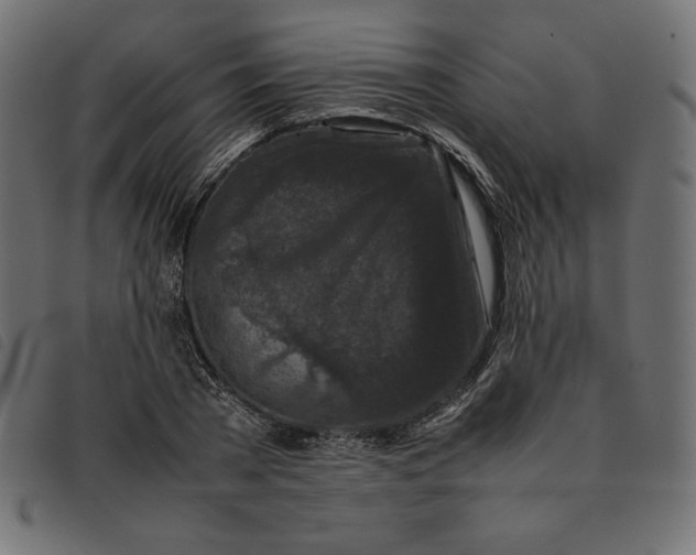 X0000092250785200710121258