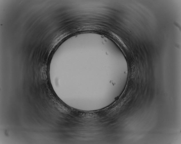 X0000092250786200710121258