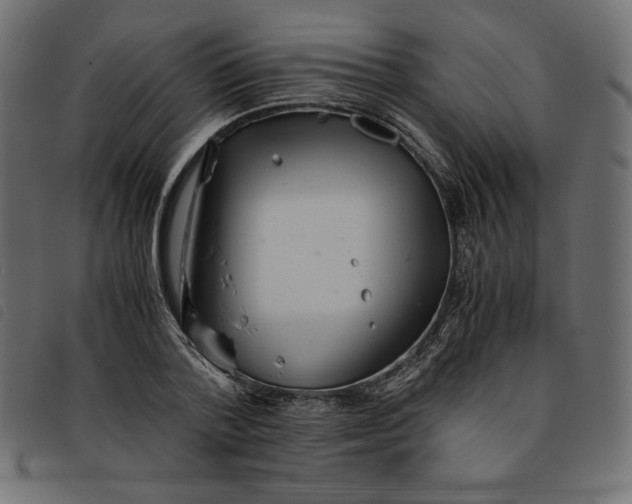 X0000092250788200710121258
