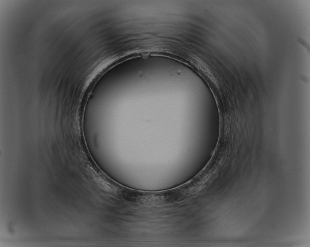 X0000092250789200710121258