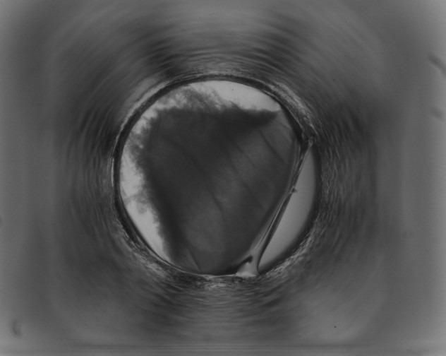 X0000092250790200710121258
