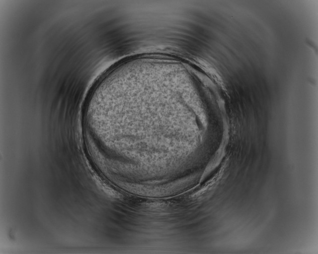 X0000092250792200710121258