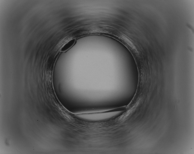 X0000092250793200710121258