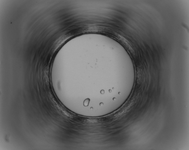X0000092250794200710121258