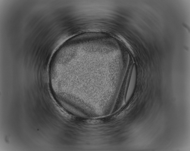 X0000092250795200710121258