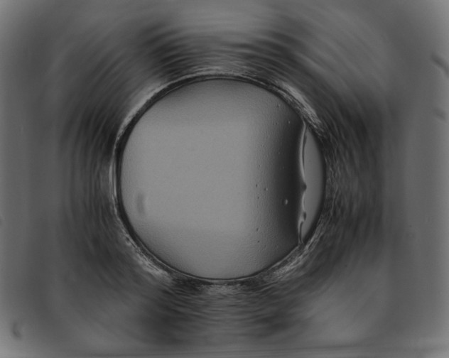 X0000092250796200710121258