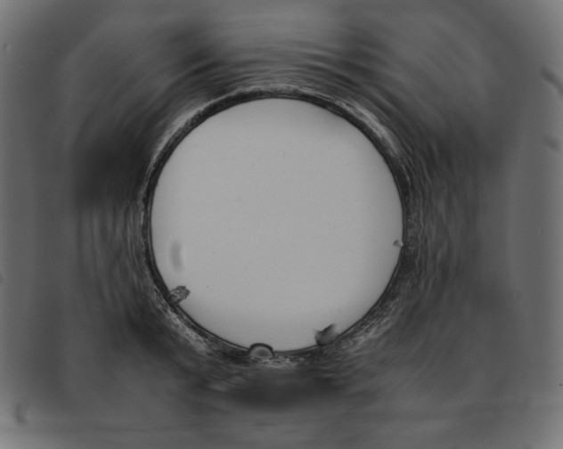 X0000092250799200710121258