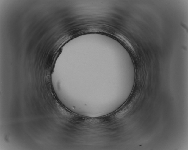 X0000092250801200710121258