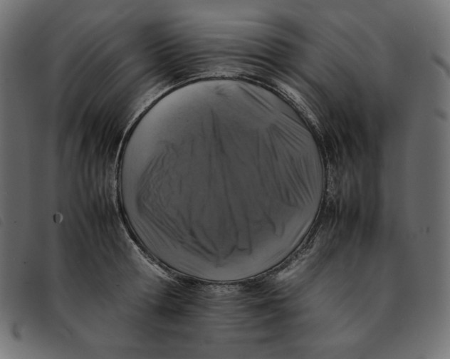 X0000092250802200710121258