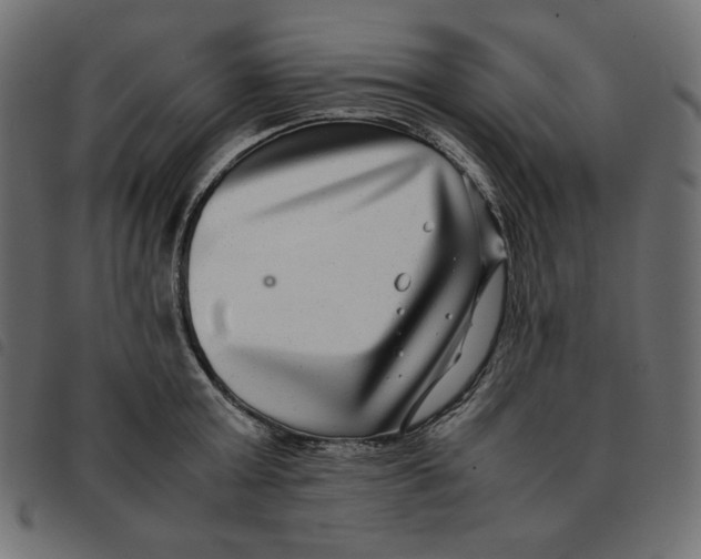 X0000092250803200710121258