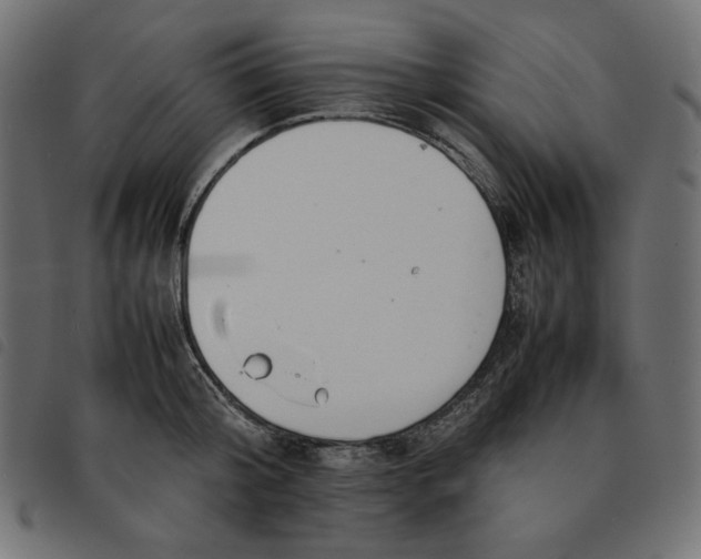 X0000092250804200710121258