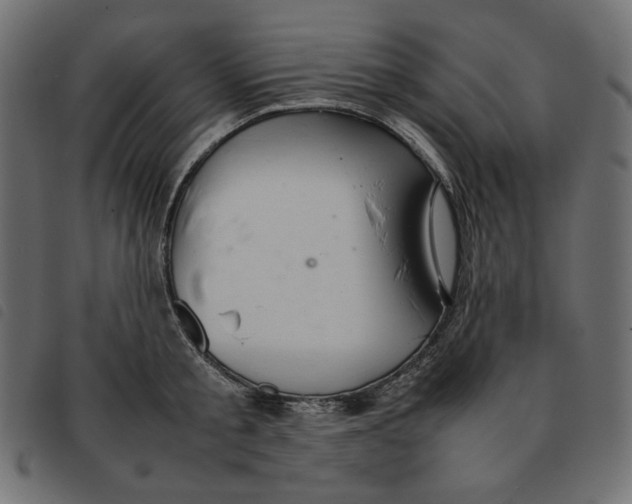 X0000092250805200710121258
