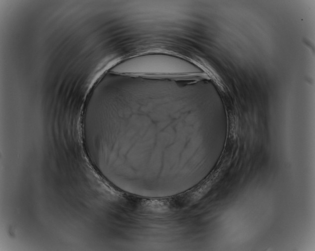 X0000092250806200710121258