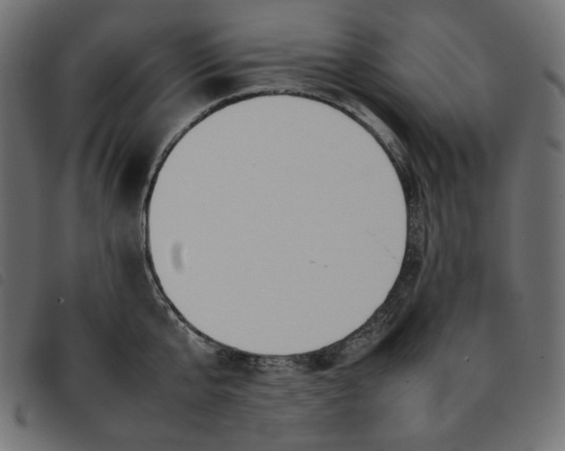 X0000092250807200710121258