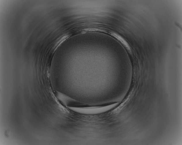 X0000092250809200710121258