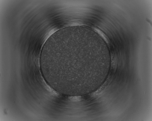 X0000092250810200710121258