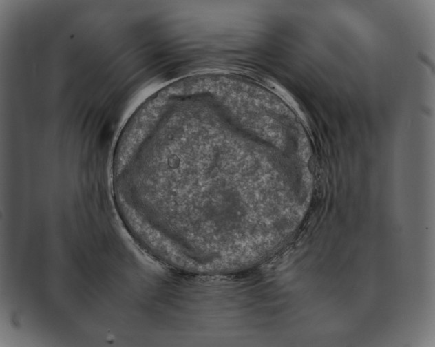 X0000092250811200710121258