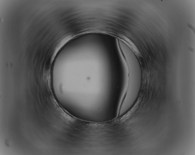 X0000092250812200710121258