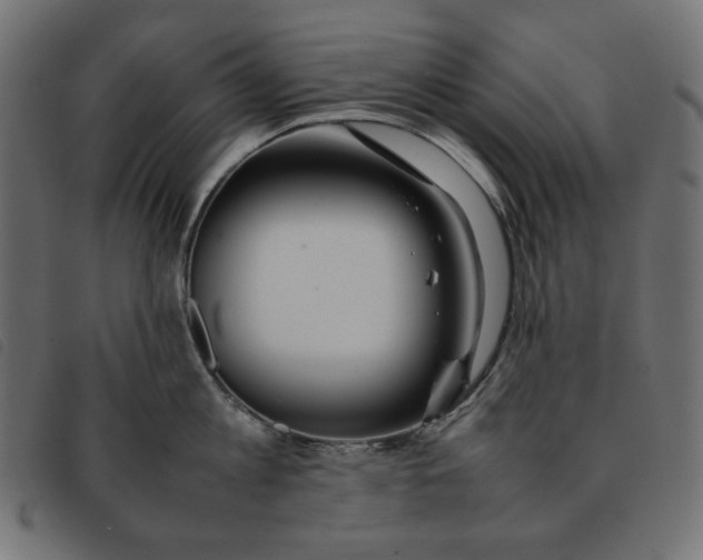 X0000092250813200710121258