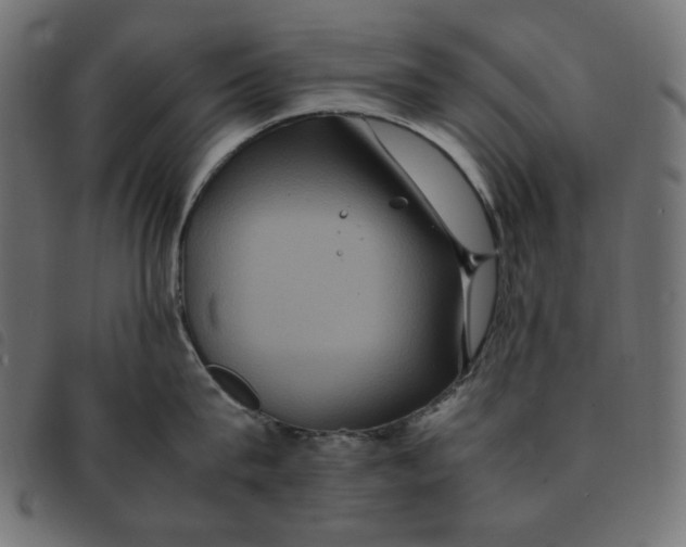 X0000092250815200710121258