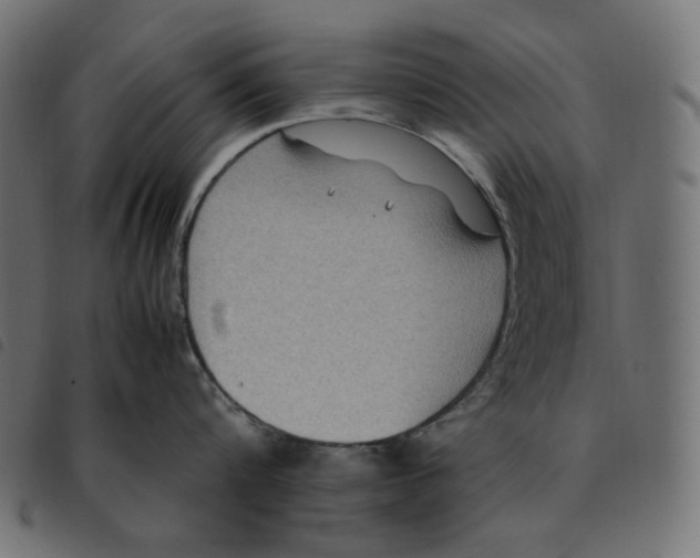 X0000092250816200710121258