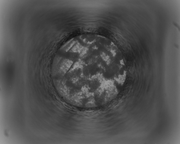 X0000092250817200710121257