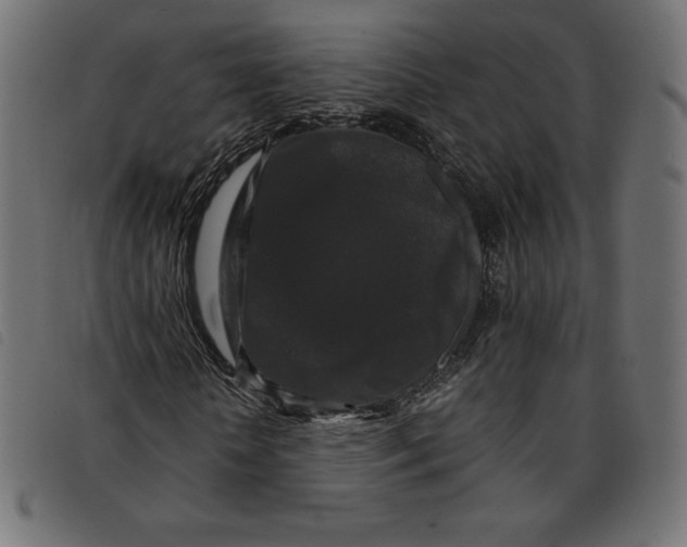 X0000092250818200710121257