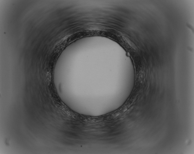 X0000092250821200710121257