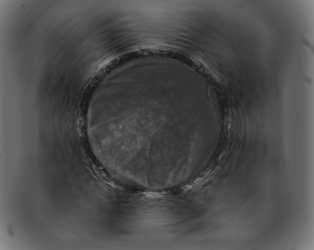 X0000092250822200710121257