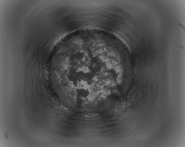 X0000092250823200710121257
