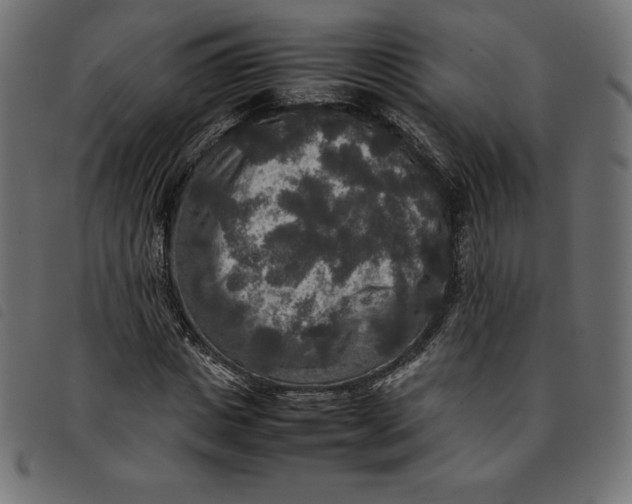X0000092250825200710121257