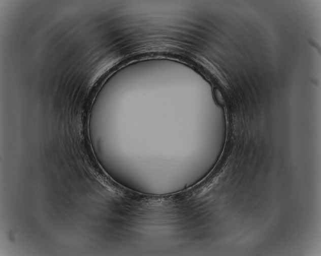 X0000092250826200710121257