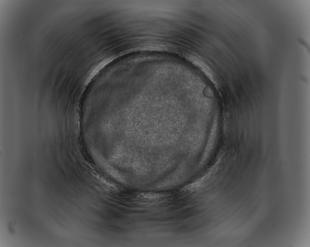 X0000092250829200710121257