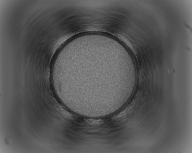 X0000092250831200710121257