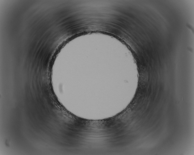 X0000092250832200710121257