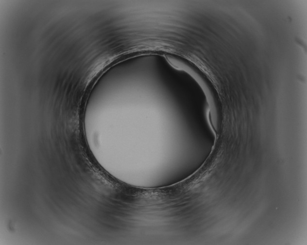 X0000092250834200710121257