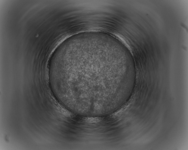 X0000092250835200710121257