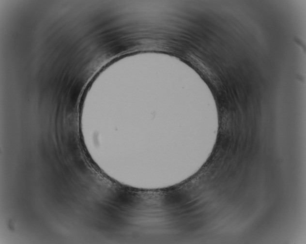 X0000092250836200710121257