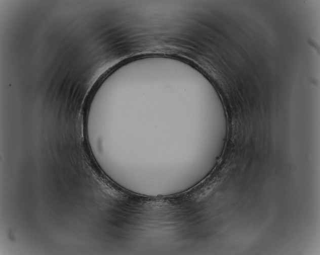 X0000092250838200710121257