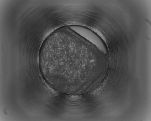 X0000092250839200710121257