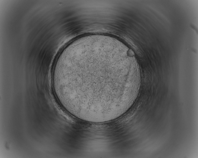 X0000092250840200710121257