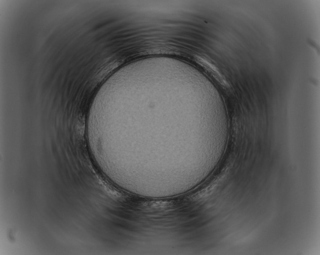 X0000092250841200710121257