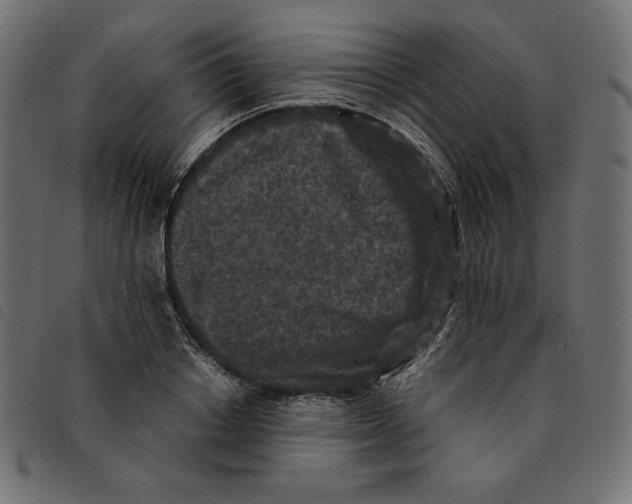 X0000092250842200710121257
