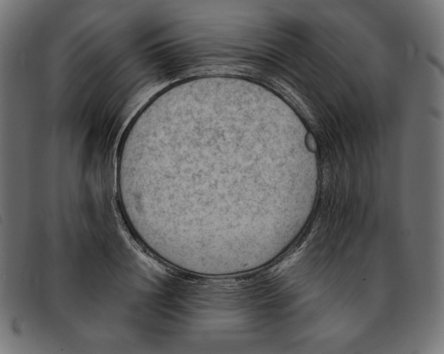 X0000092250844200710121257
