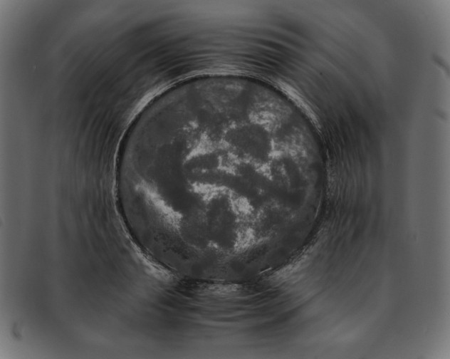 X0000092250845200710121257